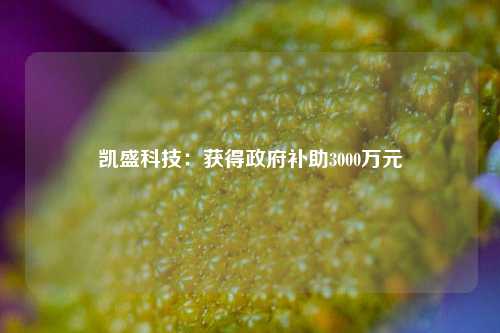 凯盛科技：获得政府补助3000万元