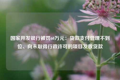 国家开发银行被罚60万元：贷款支付管理不到位、向未取得行政许可的项目发放贷款