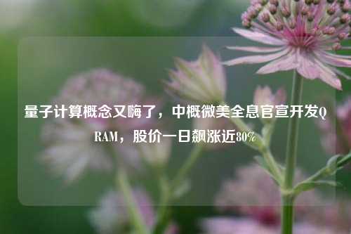 量子计算概念又嗨了，中概微美全息官宣开发QRAM，股价一日飙涨近80%