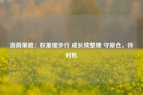 浙商策略：权重缓步行 成长续整理 守原仓、待时机