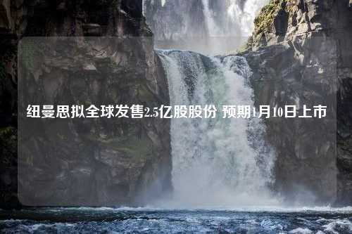 纽曼思拟全球发售2.5亿股股份 预期1月10日上市