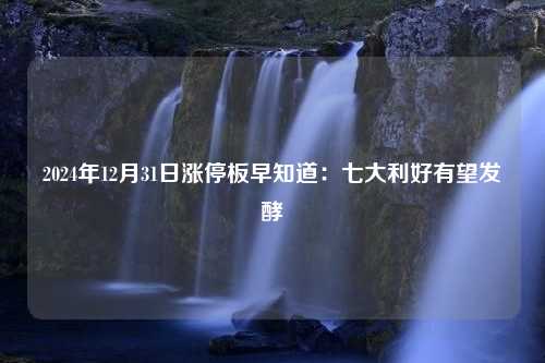 2024年12月31日涨停板早知道：七大利好有望发酵