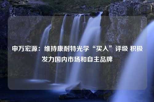 申万宏源：维持康耐特光学“买入”评级 积极发力国内市场和自主品牌