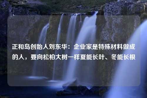 正和岛创始人刘东华：企业家是特殊材料做成的人，要向松柏大树一样夏能长叶、冬能长根