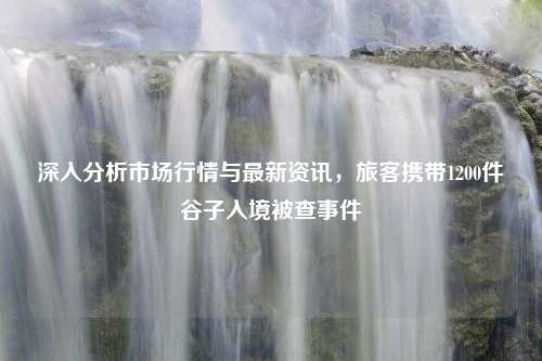 深入分析市场行情与最新资讯，旅客携带1200件谷子入境被查事件