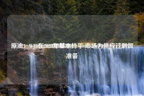 原油：WTI在2024年基本持平 市场为供应过剩做准备