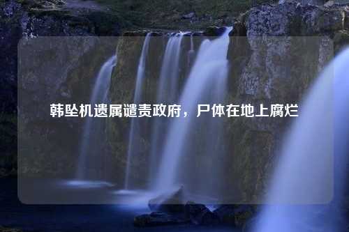 韩坠机遗属谴责政府，尸体在地上腐烂