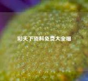 彩天下资料免费大全福