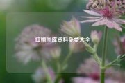 红姐图库资料免费大全