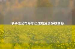 李子柒公司今年已成功注册多枚商标