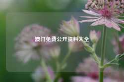 澳门免费公开资料大全