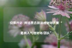 投票开启|网络票选新浪理财师大赛“最具人气理财师/团队”