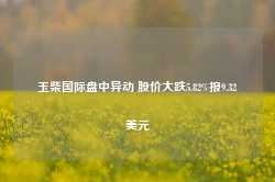 玉柴国际盘中异动 股价大跌5.82%报9.32美元