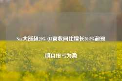 Sea大涨超20% Q3营收同比增长30.8%超预期且扭亏为盈