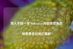 加入不到一年 Millennium斥巨资挖角的明星基金经理已离职