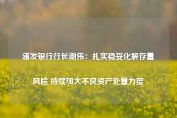 浦发银行行长谢伟：扎实稳妥化解存量风险 持续加大不良资产处置力度