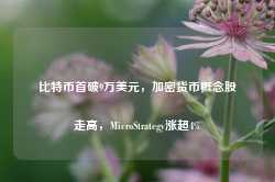 比特币首破9万美元，加密货币概念股走高，MicroStrategy涨超4%