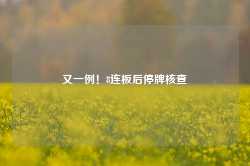 又一例！8连板后停牌核查