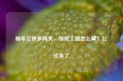 明年公休多两天，加班工资怎么算？公式来了