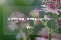 阿里大文娱第二财季营收56.94亿元 同比下滑1%