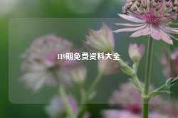 119期免费资料大全