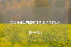 美国先锋公司盘中异动 股价大跌5.29%报6.09美元