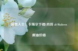 消息人士：卡塔尔下调1月份 al-Shaheen原油价格