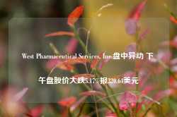 West Pharmaceutical Services, Inc.盘中异动 下午盘股价大跌5.17%报320.64美元