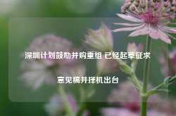 深圳计划鼓励并购重组 已经起草征求意见稿并择机出台