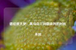 德驻俄大使：就乌克兰问题谈判的时机未到