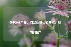 多只FOF产品，调整业绩比较基准，所为何因？