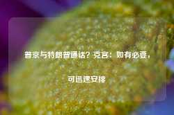 普京与特朗普通话？克宫：如有必要，可迅速安排