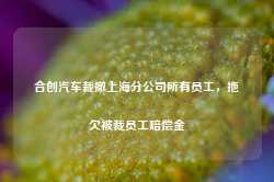 合创汽车裁撤上海分公司所有员工，拖欠被裁员工赔偿金