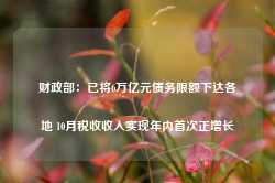 财政部：已将6万亿元债务限额下达各地 10月税收收入实现年内首次正增长