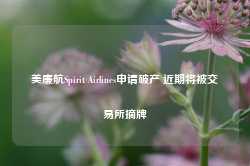 美廉航Spirit Airlines申请破产 近期将被交易所摘牌