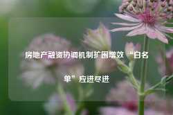 房地产融资协调机制扩围增效 “白名单”应进尽进